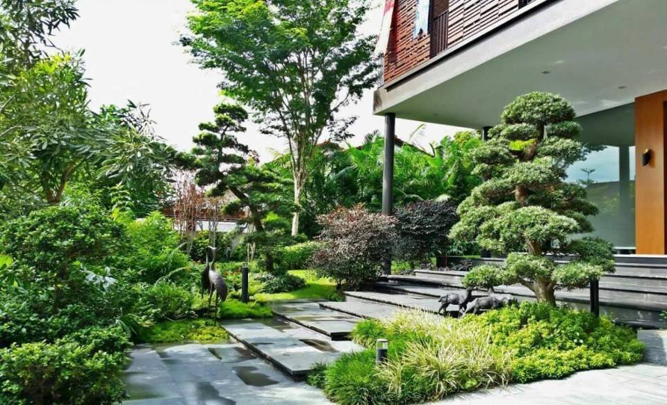 Periyodik Bahçe Bakımları